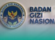 Efisiensi Rp30 Triliun, BGN Siapkan Rp240,2 Triliun untuk MBG 2027
