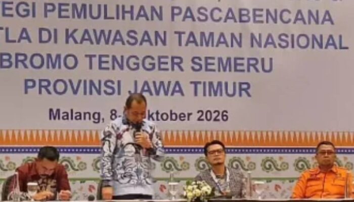 BPBD Jatim Pantau Titik Api Bromo Lewat SiPongi, Warga Diminta Waspada