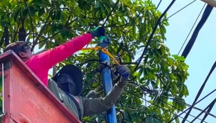 Tindak Tegas Kabel Ilegal, Pemkot Surabaya Bongkar Ratusan Tiang Utilitas Tak Berizin di 23 Ruas Jalan
